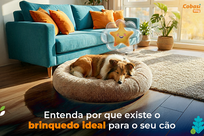 709x472 Capa Post.webp