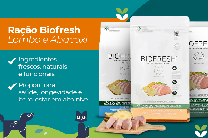 709x472 Webstories.webp