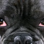 AdobeStock 217313916.webp