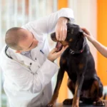 AdobeStock 90672321.webp