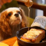 AdobeStock 252721225.webp