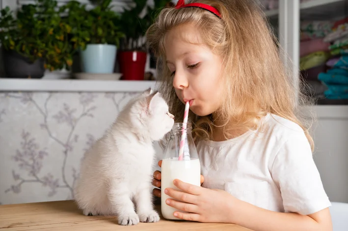 Gato Pode Tomar Leite.webp