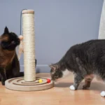 Melhores Arranhadores Para Gatos.webp