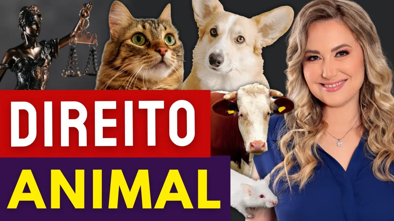 direitos dos animais