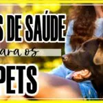 saúde e bem estar do pet