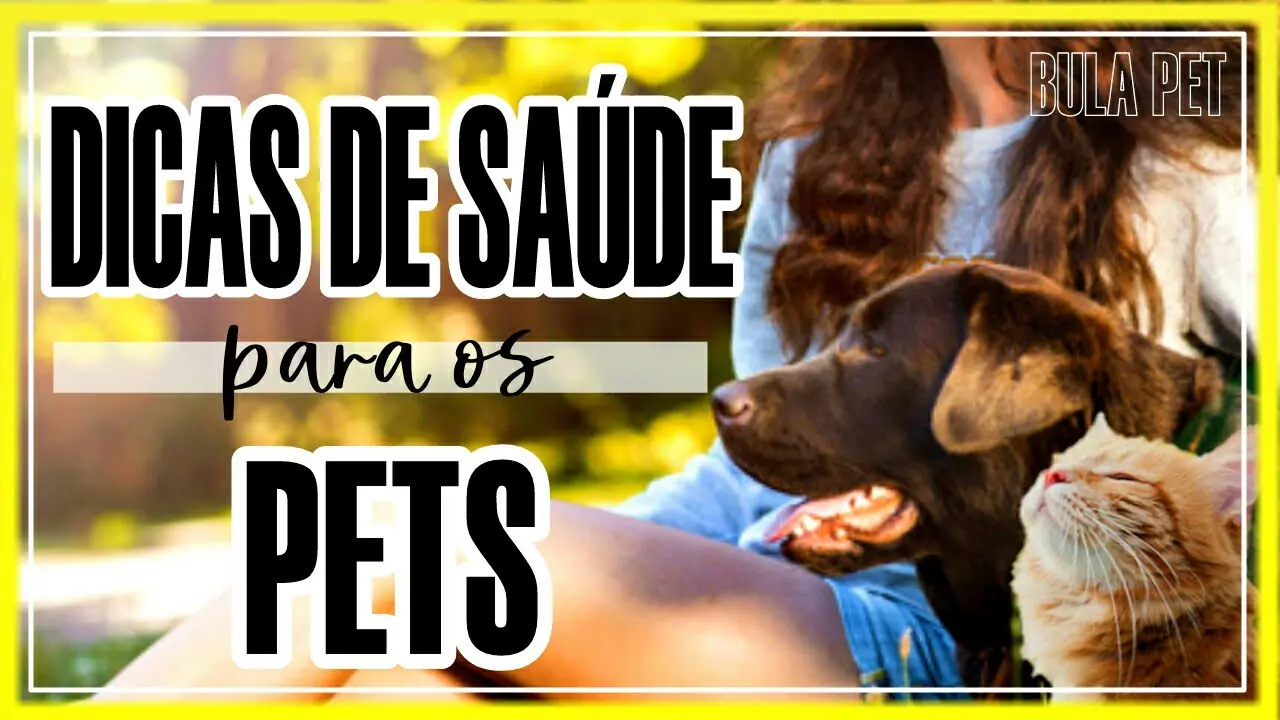 saúde e bem estar do pet