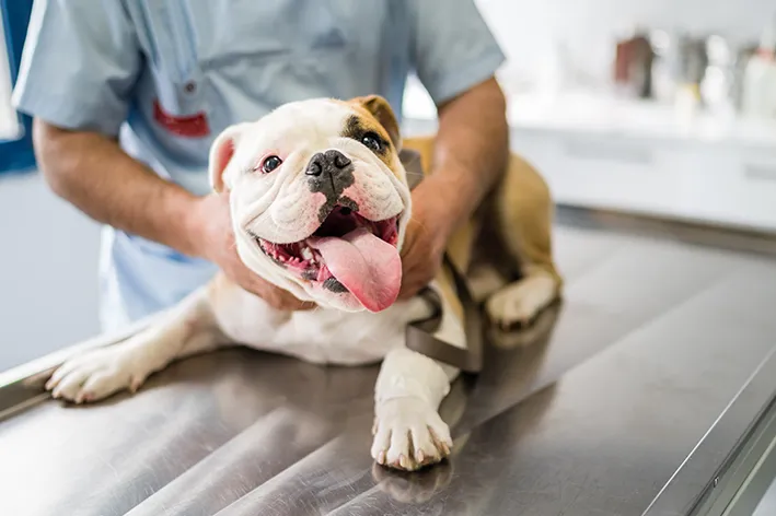 Creatinina Alta Capa